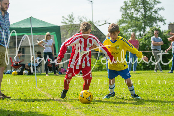 Under 8's action-176