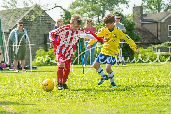 Under 8's action-173
