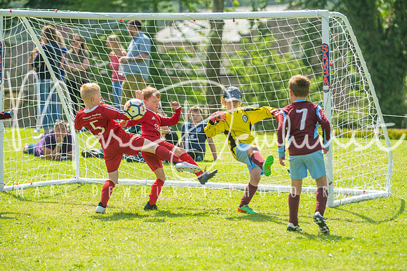 Under 8's action-81