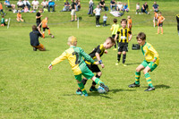 Under 8's action-75