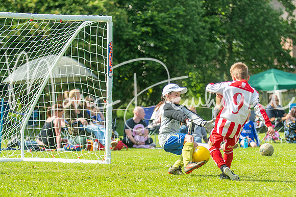 Under 8's action-156