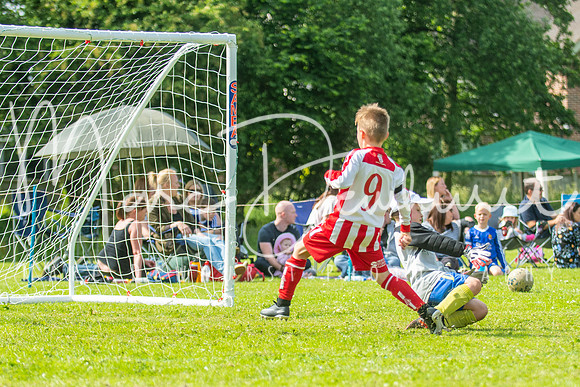Under 8's action-157