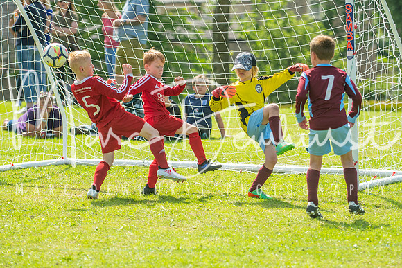 Under 8's action-82