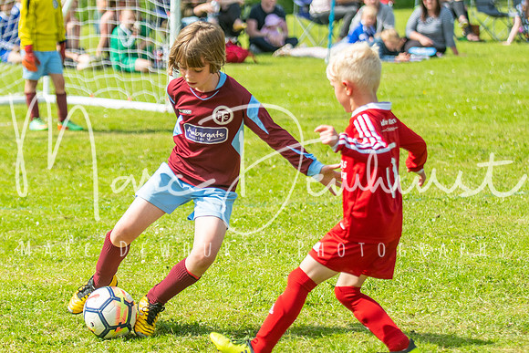Under 8's action-85