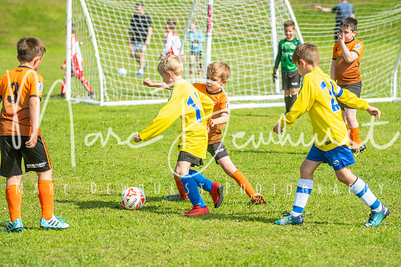 Under 8's action-189