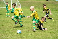 Under 8's action-71