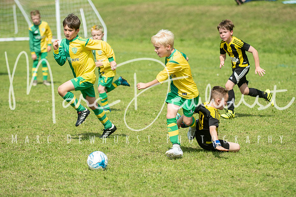 Under 8's action-71