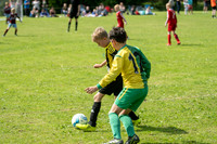 Under 8's action-80