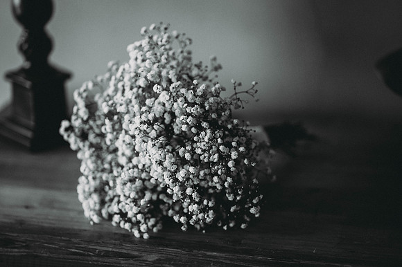 coral-mark-priesthouse-mono-83