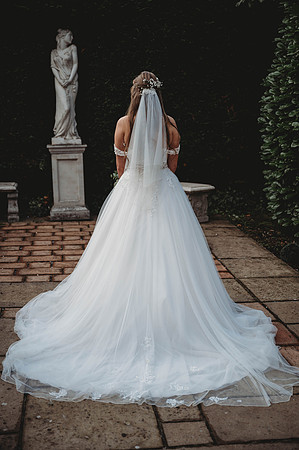 lauren-connor-s-431