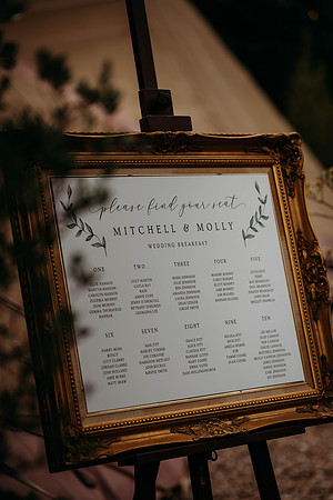 molly-mitchell-476
