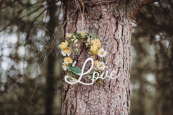 forestry_louise-warren-22