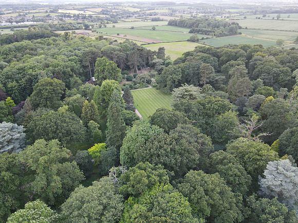DJI_0349