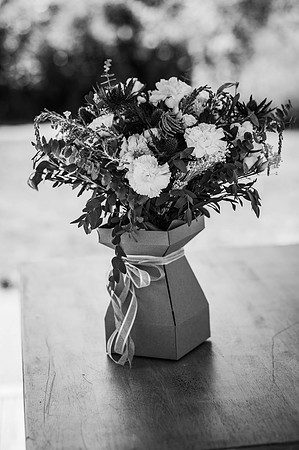 sarah-james-mono-28