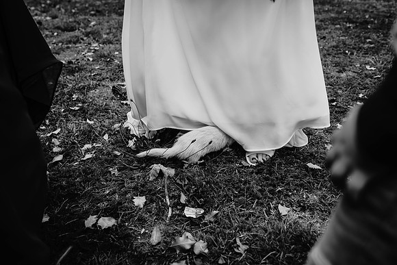DSC_3231