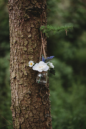 forestry_louise-warren-51