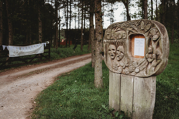 forestry_louise-warren-50