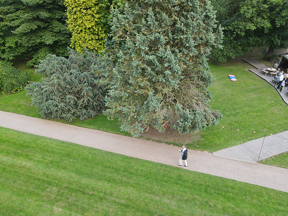 DJI_0368