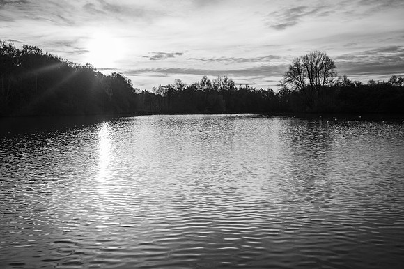 byfield-rufford-mono-27