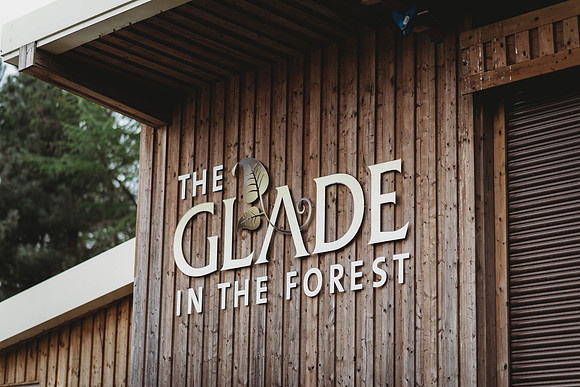 forestry_louise-warren-25